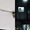 歌單單