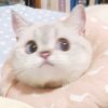♡