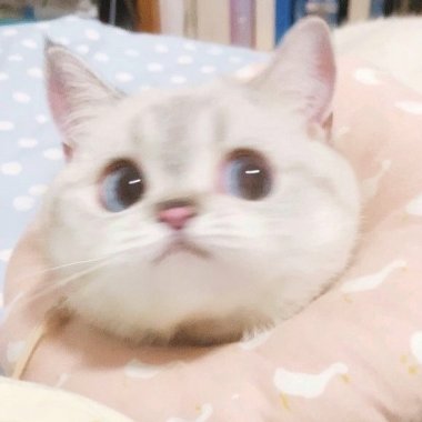 ♡