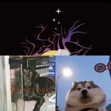 🫶