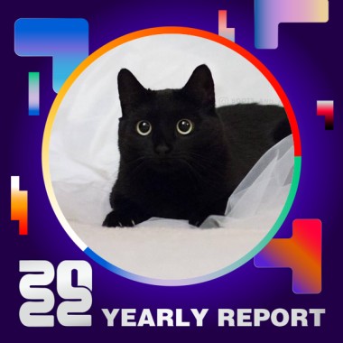 2022 個人年度精選