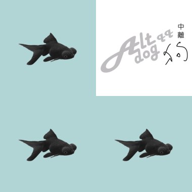 中離狗
