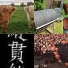 爱听
