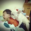叭叭嘉年華 如果我是DJ