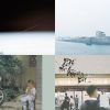 郑兴