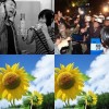太陽花民歌專輯