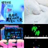 我的歌單 2