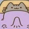 屁眼