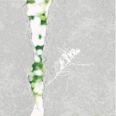 生命樹 Tree of Life 我們都不完美