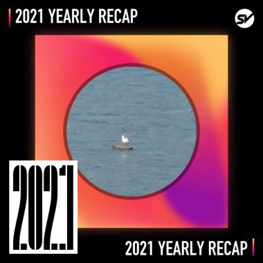 2021 個人年度精選之最