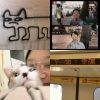吉他