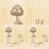 甜蜜的負荷-吳晟 詩。歌