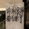 落 日 飛 車