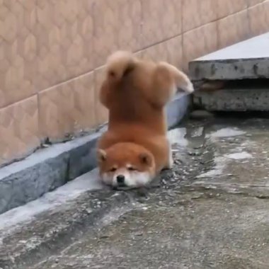 ???