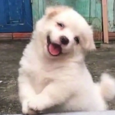 ?