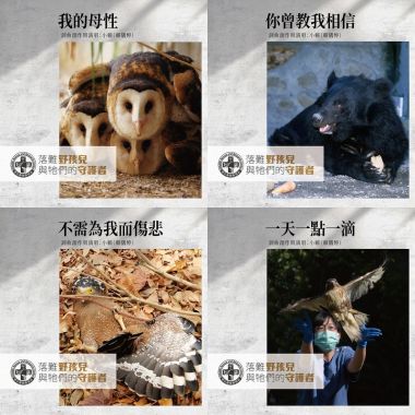 落難野孩兒與牠們的守護者
