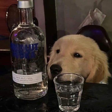 阿民ㄉ暈船歌單
