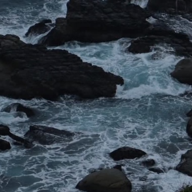 海與淚的共謀