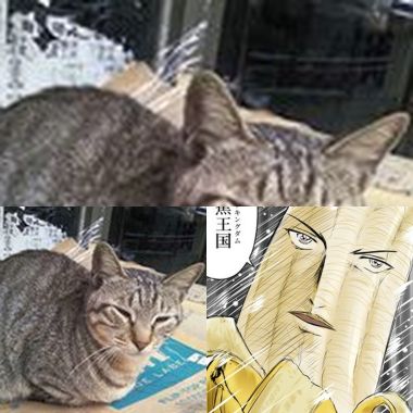 蘿蔔