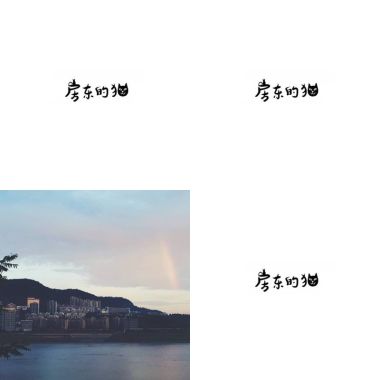 房東的貓貓喵喵