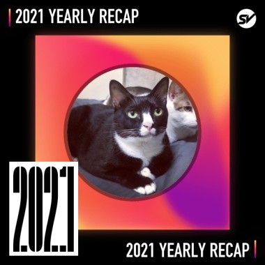 2021 個人年度精選之最