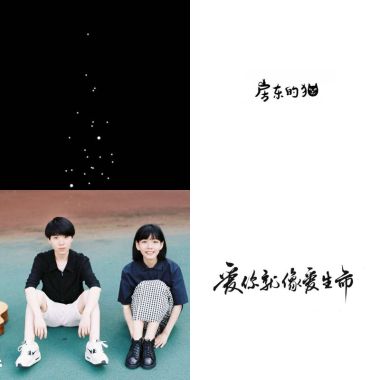 房東的貓