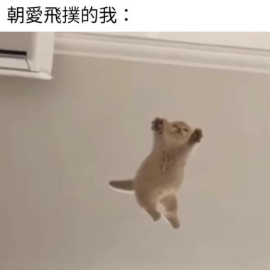 喜翻的