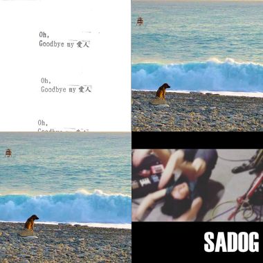 sadog