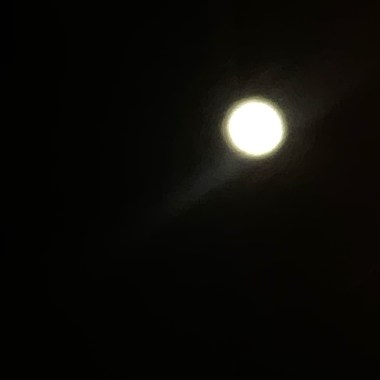 沒有名字