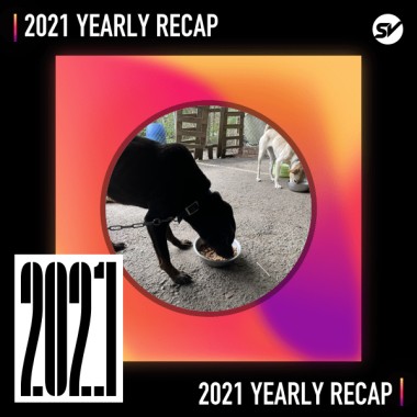 2021 個人年度精選之最
