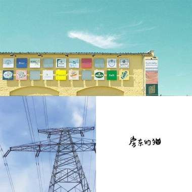 房東的貓