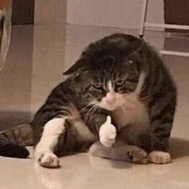 Someshit