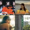 我的歌單 1