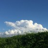竹女畢業歌