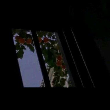 一一风荷举