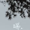 随性