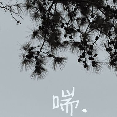 随性