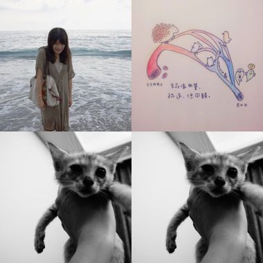小韻