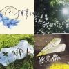 My Playlist 2