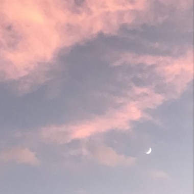 ☽︎︎