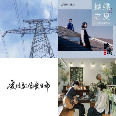 房東的貓