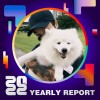 2022 個人年度精選