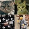 好暈⋯