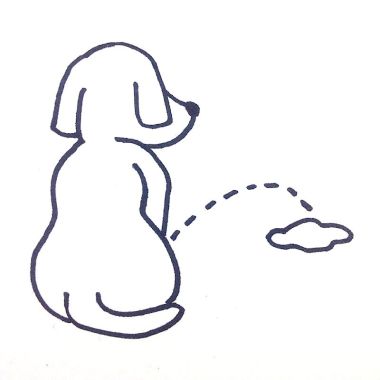Cocker主題曲