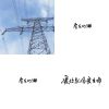 房東的貓