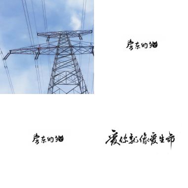 房東的貓