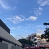 純音樂