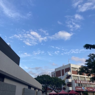 純音樂