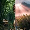 島嶼本聲|台灣本土融合音樂 Voices of the Island