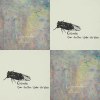 CICADA